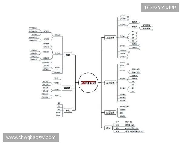 乒乓球运动的技术演进与全球影响力分析及未来发展趋势探讨