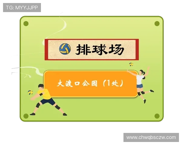 深圳排球队与重庆排球队赛后状态分析与复盘探讨 深圳排球队与重庆排球队赛后状态分析与复盘探讨