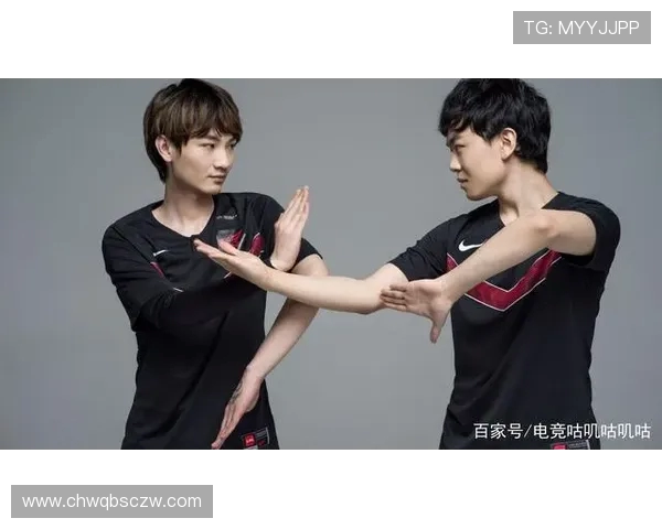 王者荣耀战术解析：FPX如何构建强大的整体压制体系与团队协作