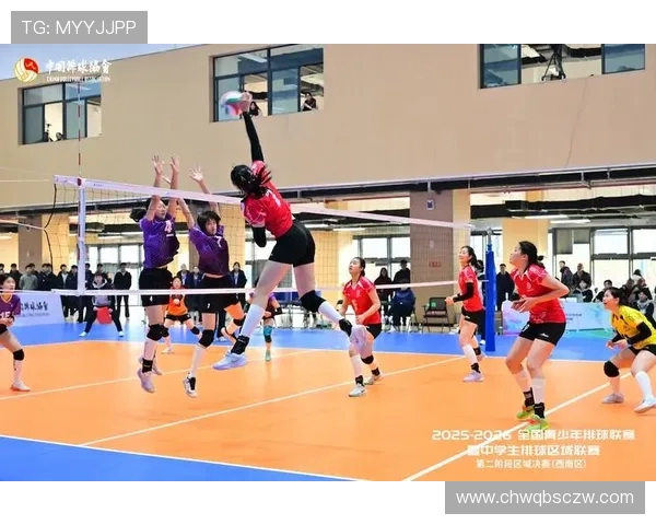 重庆排球队的奋斗历程与世界杯预选赛的梦想追逐之路